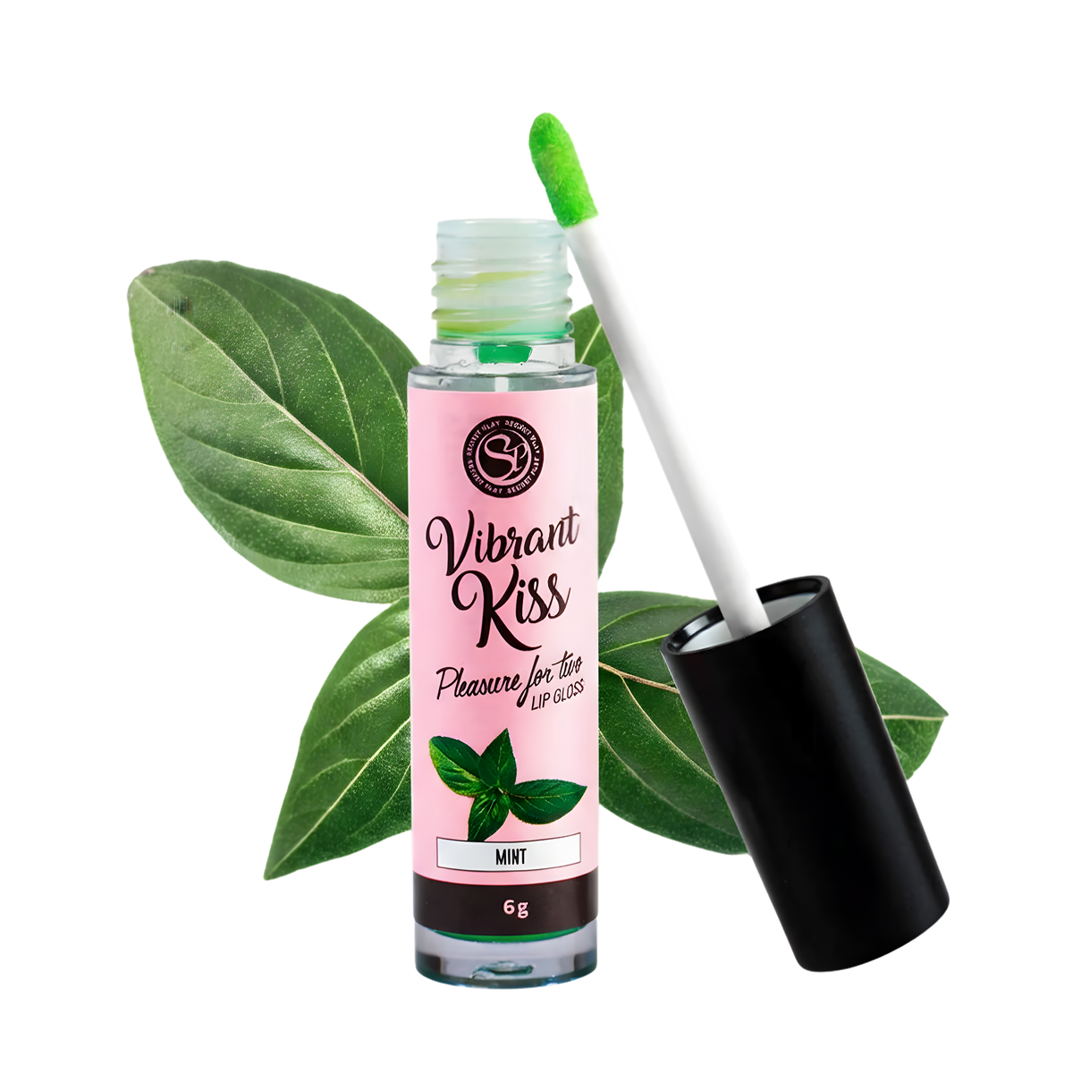 Gloss à lèvres Vibrant Kiss Secret Play